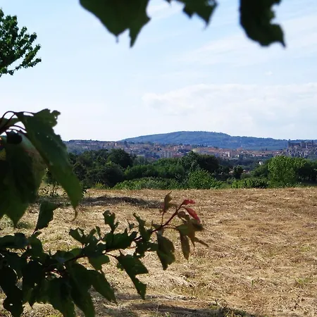 Fontelupo Bracciano (Rome)